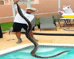 He is an animal lover and has knowledge about other animals as well like Gators, Sharks and Pythons.